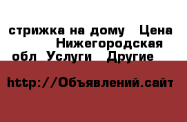 стрижка на дому › Цена ­ 200 - Нижегородская обл. Услуги » Другие   